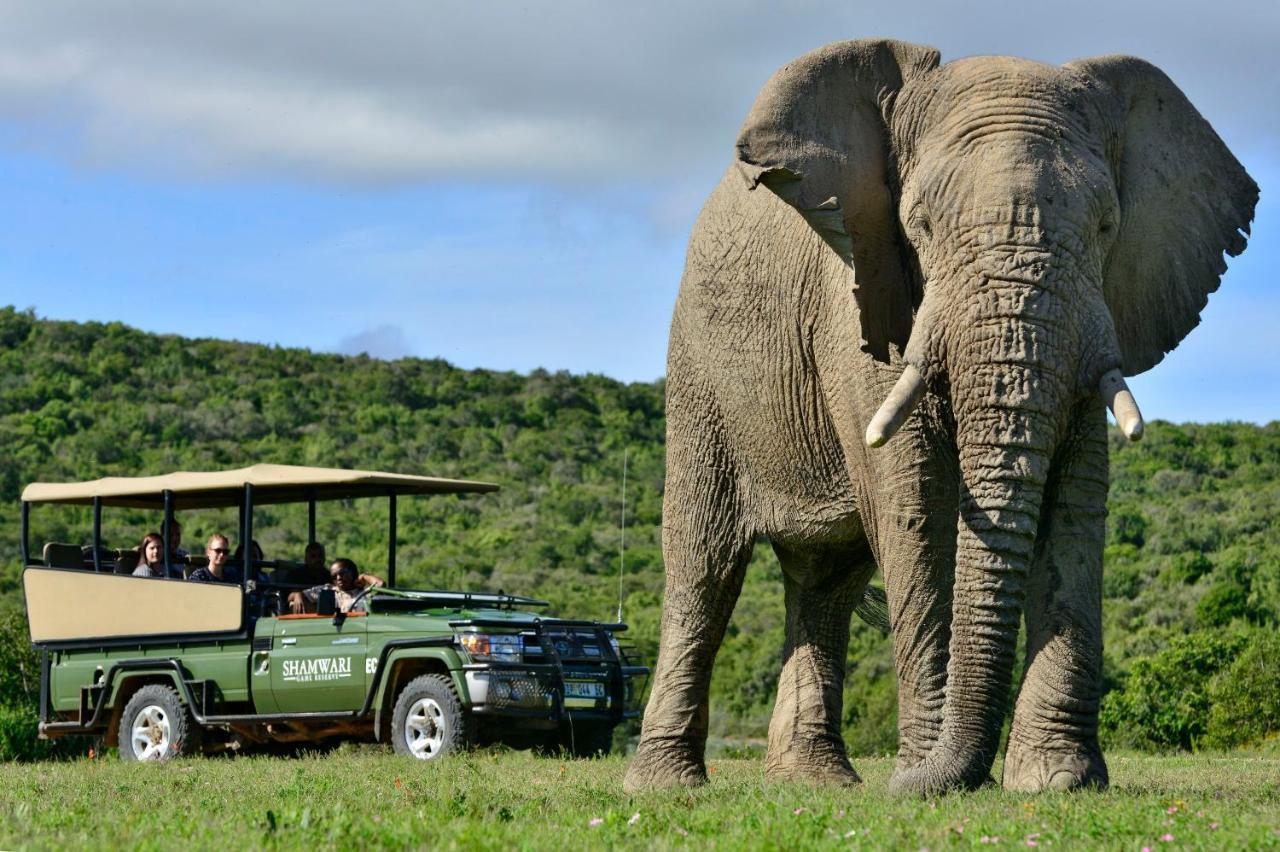 Shamwari Riverdene Paterson Exteriör bild