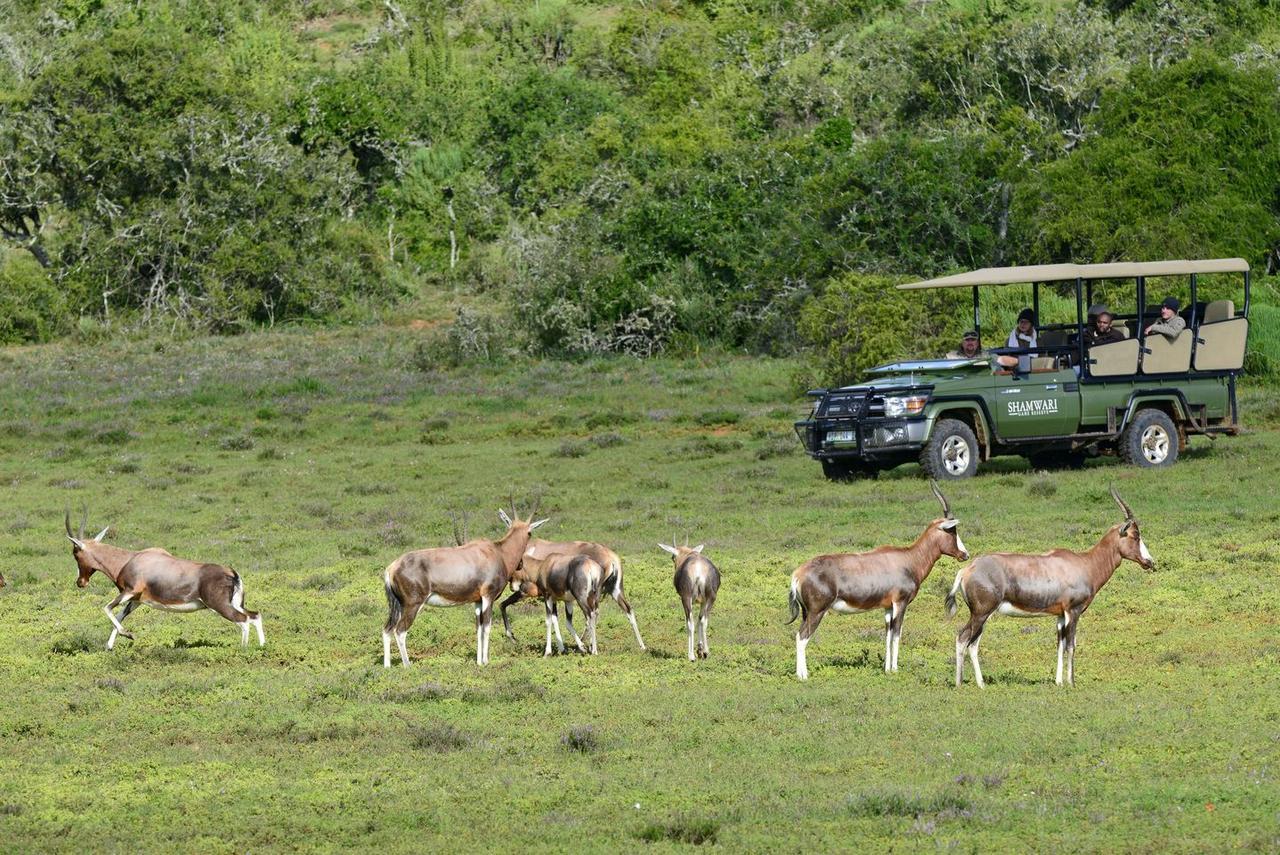 Shamwari Riverdene Paterson Exteriör bild
