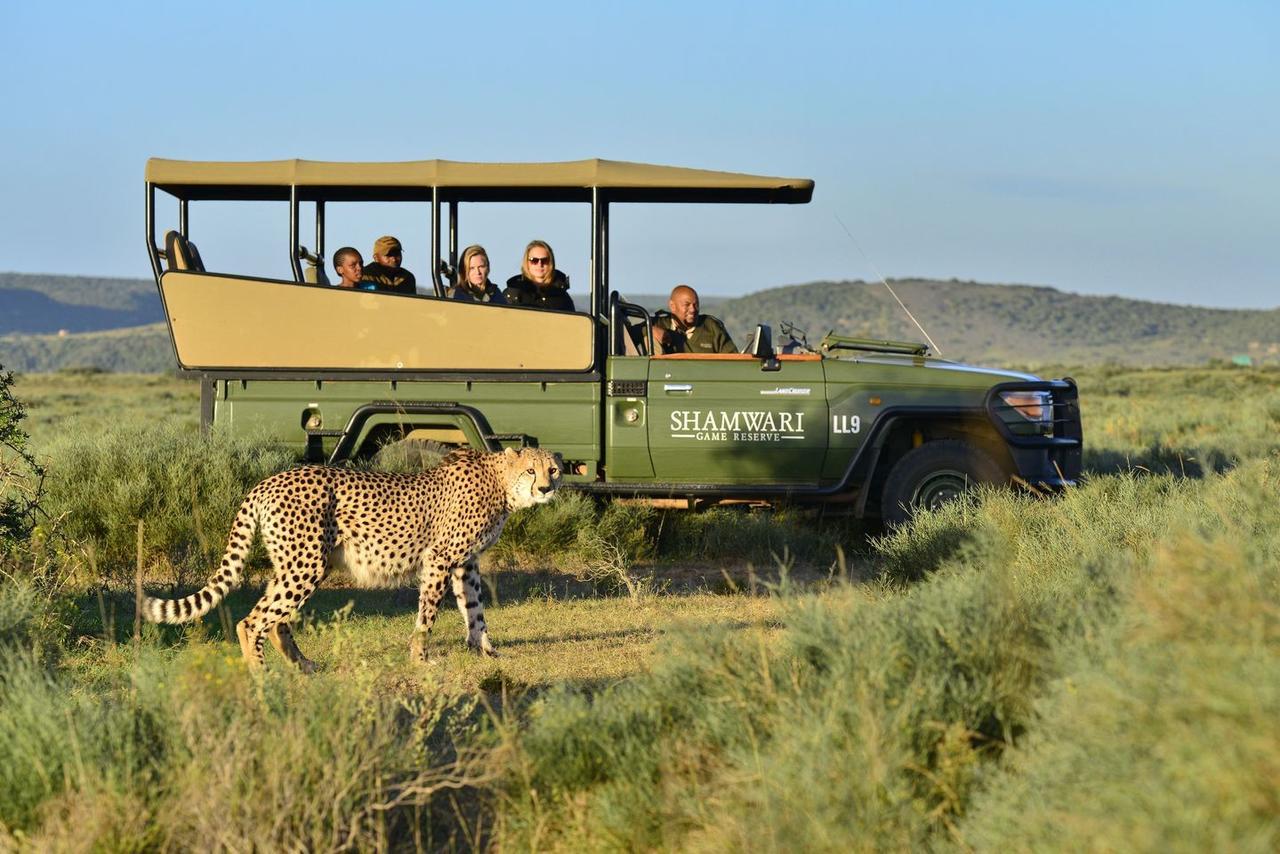 Shamwari Riverdene Paterson Exteriör bild
