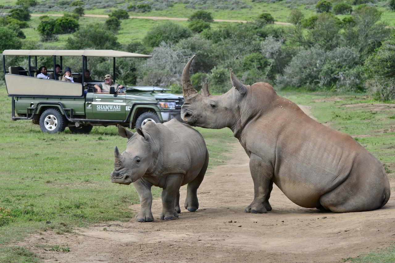 Shamwari Riverdene Paterson Exteriör bild