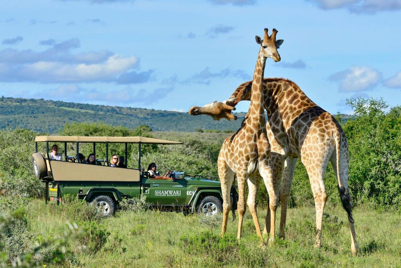 Shamwari Riverdene Paterson Exteriör bild