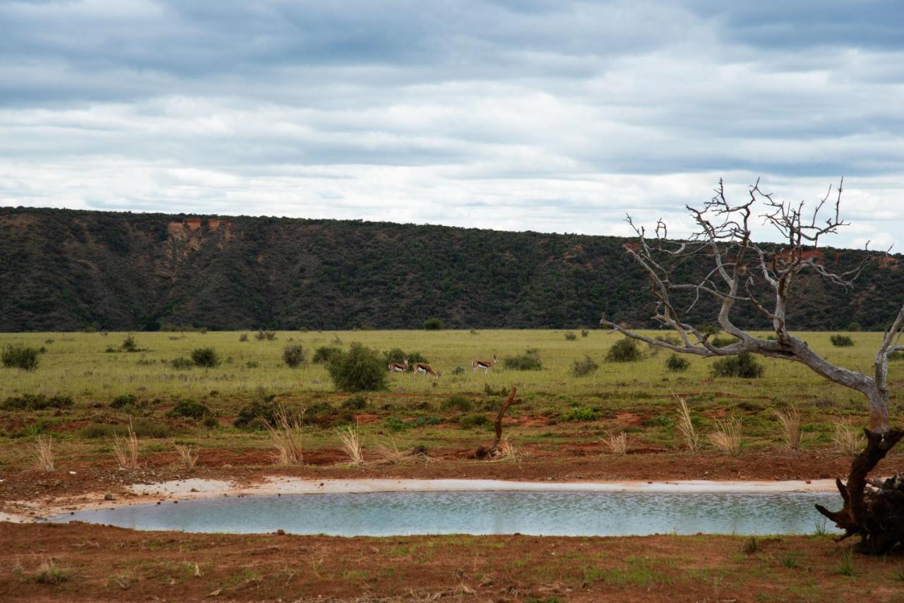 Shamwari Riverdene Paterson Exteriör bild